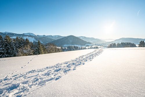 Zonsondergang met uitzicht op Oberstaufen, Staufen, Säntis en de Hochgrat