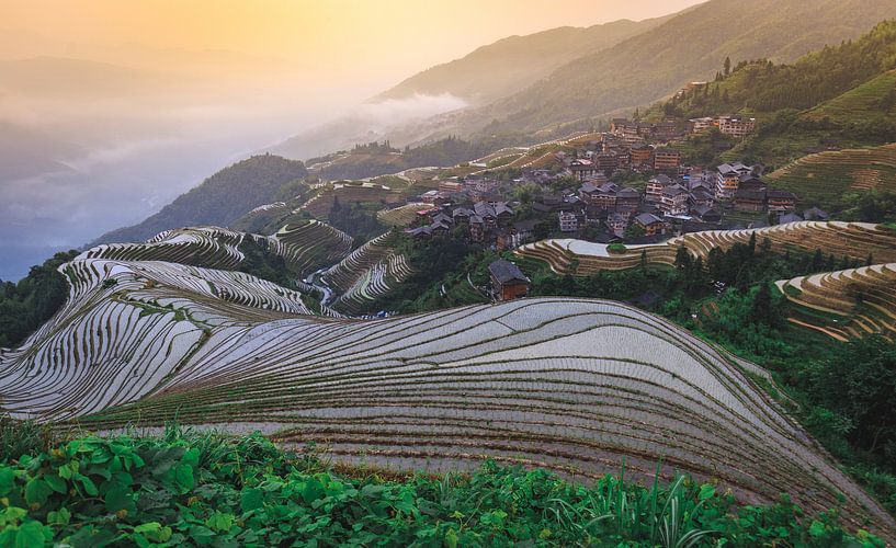 Zonsopkomst over de rijstvelden in China van Claudio Duarte