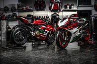 Ducati Panigale V2 van Bas Fransen thumbnail