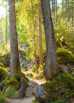 Wanderweg von Bo Valentino