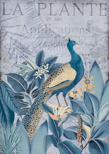 Pauw in tropisch paradijs