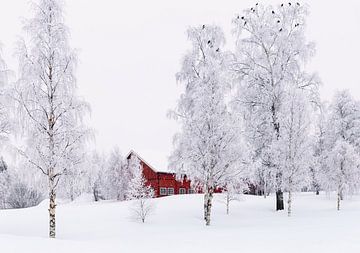Scène hivernale norvégienne sur Adelheid Smitt