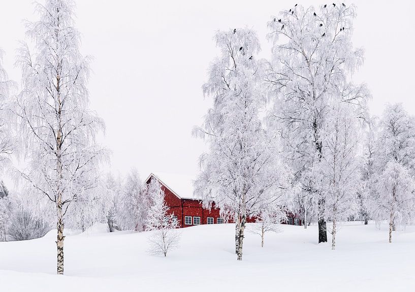 Norwegian winter scene by Adelheid Smitt
