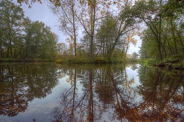 Landschap - Spiegel sur Angelique Brunas