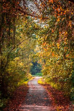 Het Molenbeekpad in de herfst (schilderij)