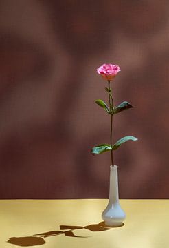 Rose mit Schatten. von Lieke van Grinsven van Aarle