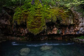 magie dans la forêt