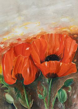 Mohnblumen-Paar auf dem Mohnblumen-Feld . Rot bis zum Horizont.
