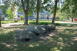 Hunebed D47 in woonwijk Angelslo