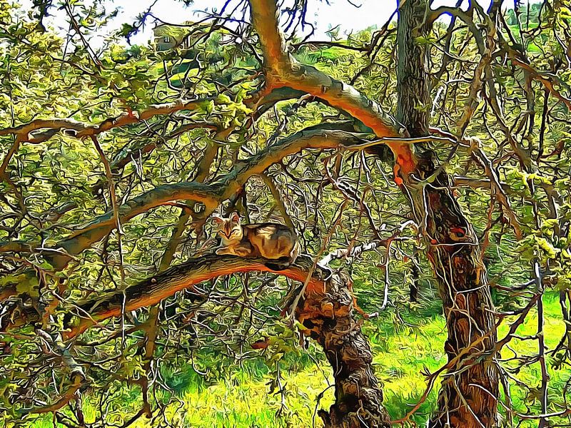 I Want To Be A Tree by Dorothy Berry-Lound