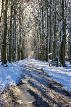 't Kleine Bosje in Slochteren op een winterse dag van Marga Vroom
