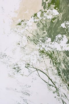 Salty Harmony of Cow Parsley II