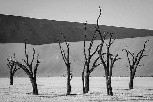 Deadvlei zwart-wit