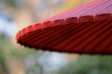 Rode parasol langs het Filosofenpad in Kioto van Emi Barendse
