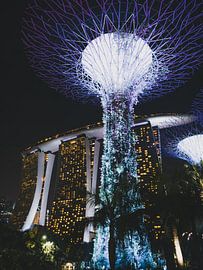 Nuit à Singapour sur Leo van Gemmern
