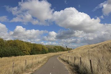 Weg naar Sardijntoren Vlissingen van Patrick Riemens