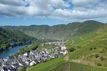 Wine village Ediger-Eller,Mosel valley by Peter Eckert