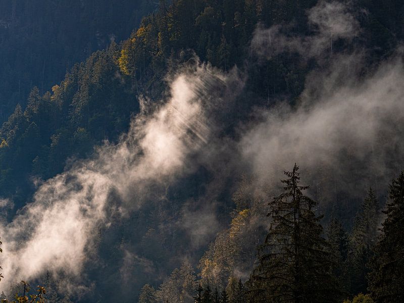 Austrian Alps by Jelle Bakker