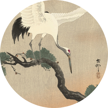 Japanse kraanvogel op tak van pijnboom van Ohara Koson