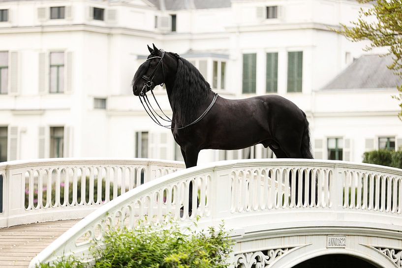 Cheval et palais de Soestdijk par Keeley Wit