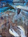 Bird collage by Artstudio1622 thumbnail