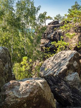 Lampertstein, Saxon Switzerland - Rock plateau Lampertshorn by Pixelwerk