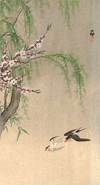 Des hirondelles en fuite de Ohara Koson