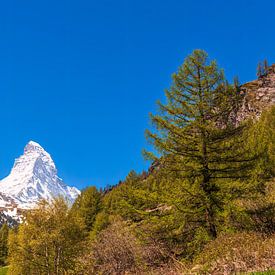 Idyllische Schweizer Landschaft mit Blick auf das Matterhorn von Justin Suijk