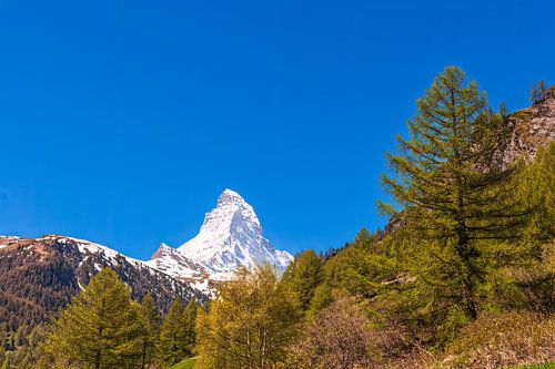 Idyllic Swiss landscape overlooking the Matterhorn