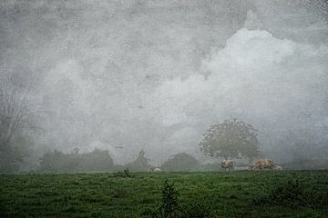 Koeien in de mist van Ruud Brood