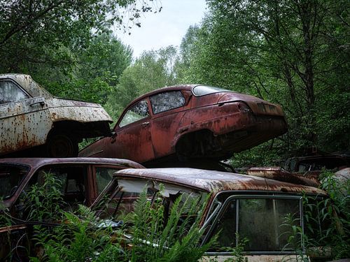 Rode Saab van Maikel Brands