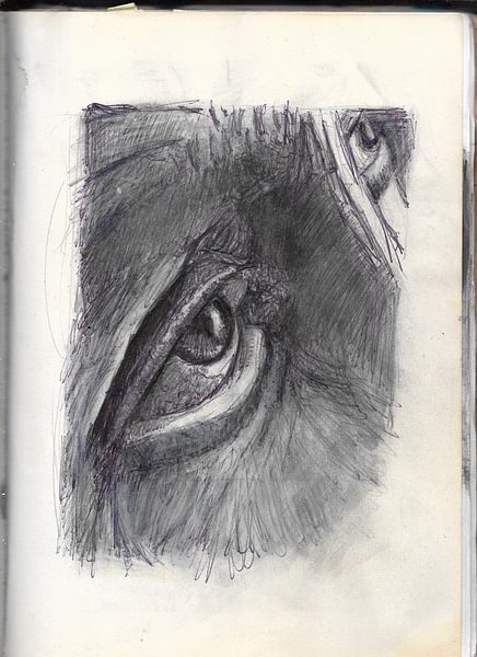 FACE EYES by Vincent Jacobs