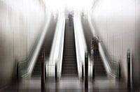 Into the light
