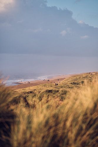 Beach near Vejlby Klit in Denmark