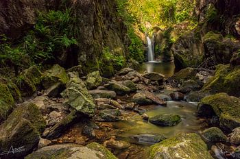 A little piece of paradise