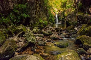 A little piece of paradise by Pierre ARTEMOFF