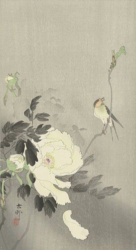 Ohara Koson - Swallow with peony (edited)