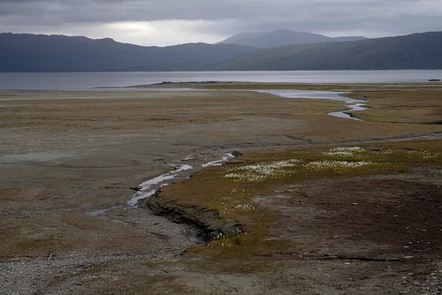 Rivierdelta in Zweden