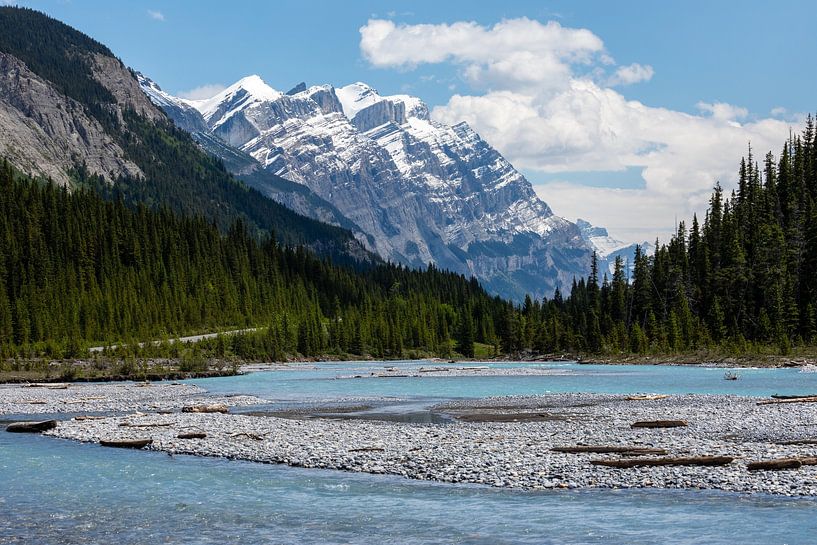 The wilderness of the Rocky Mountains by Roland Brack