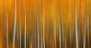 Herbst, Fine Art