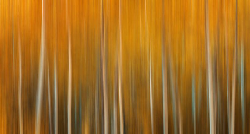 Herfst, Fine Art van Photo Wall Decoration