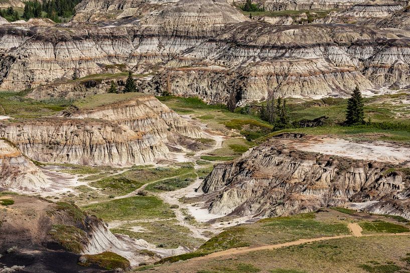Der Horseshoe Canyon in Alberta Kanada von Roland Brack