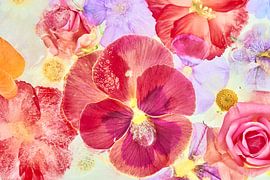 "Blühende Blumen im Eis verankert"