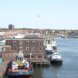 De Haven van IJmuiden van Fela de Wit