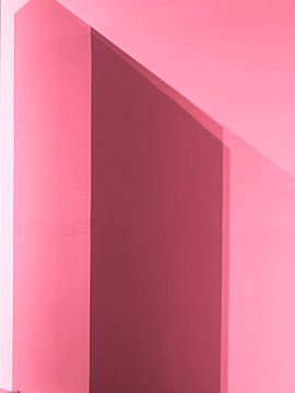 pink study 1 von Michael Schulz-Dostal