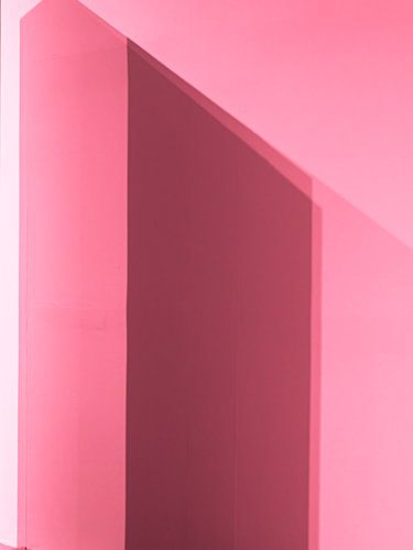roze studie 1
