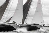 Neck to neck race Frisian skutsjes