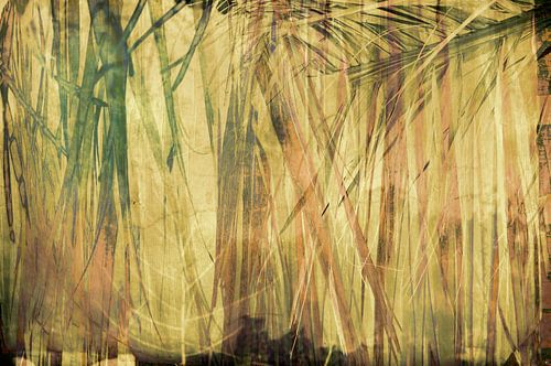 Jungle