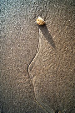 Stilleven op het strand