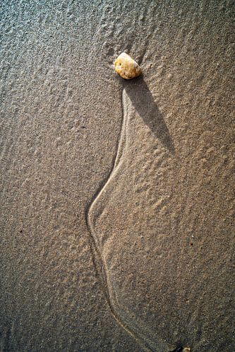 Stilleven op het strand